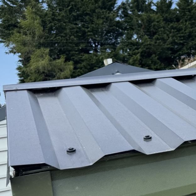 Standard Steel Roof