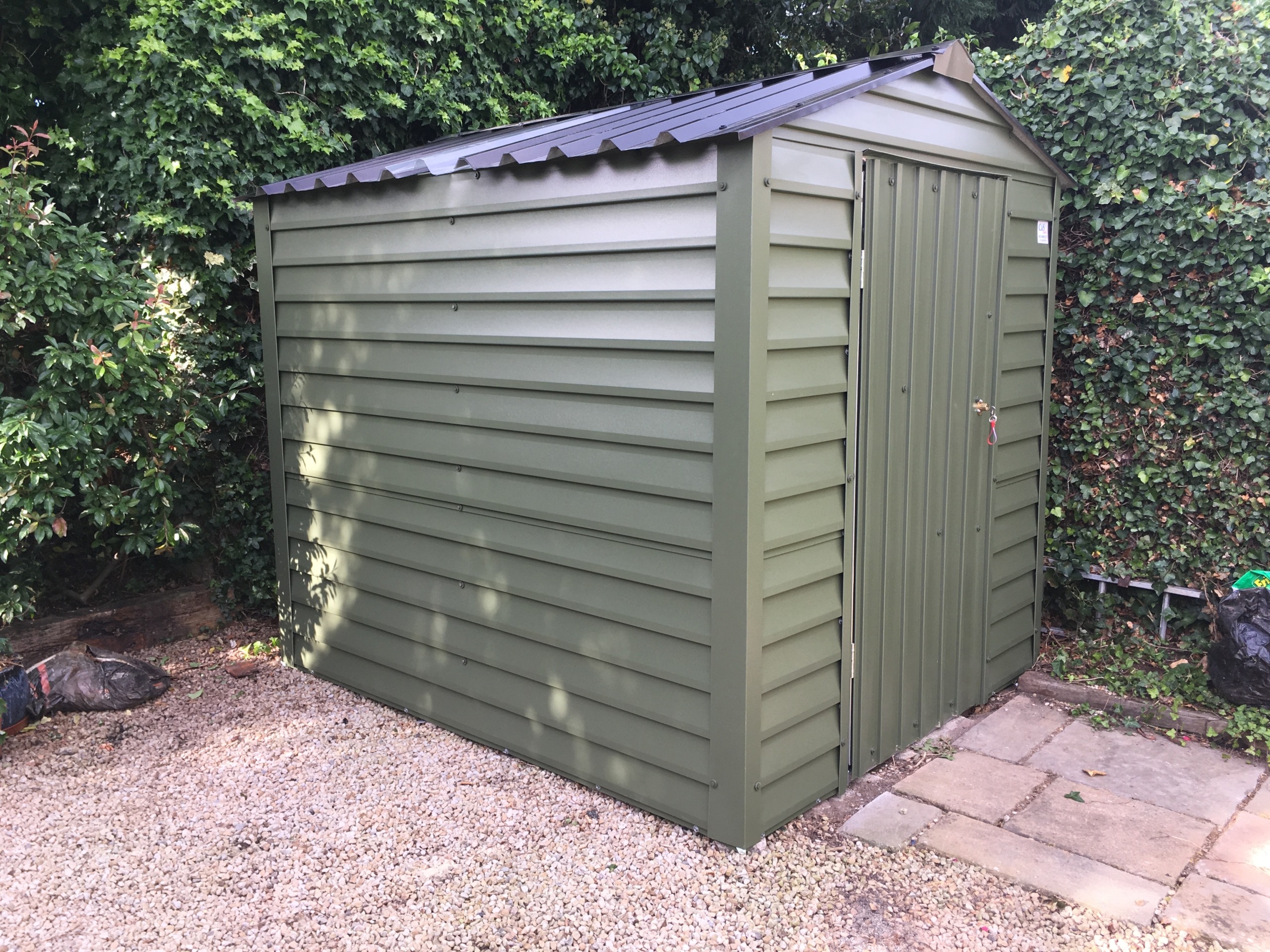 02 Olive Compact 8x6-6