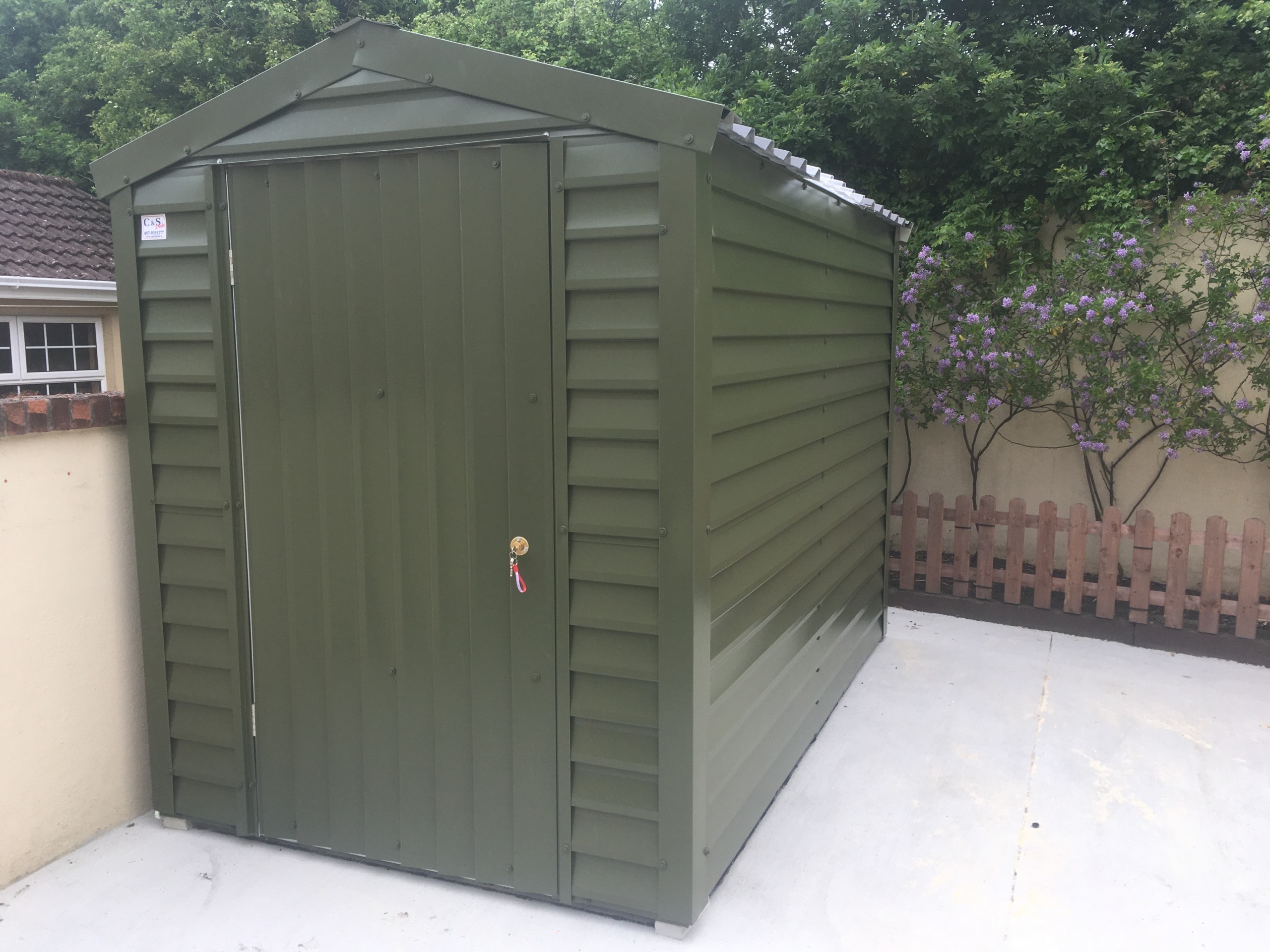 14 Olive 10x6-6